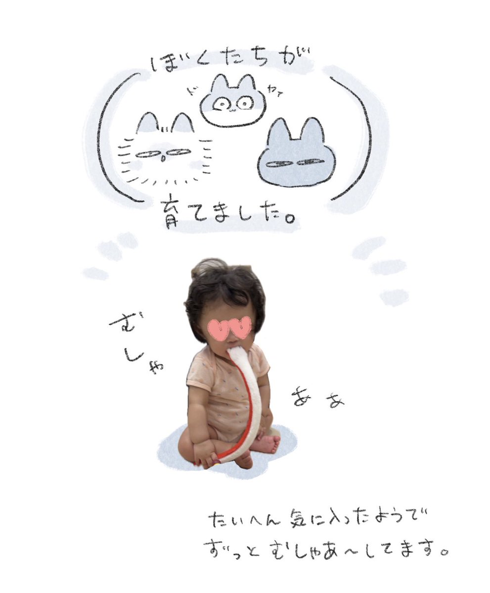 In_s_soi's tweet photo. 私たちが育てました。
(2/2) https://t.co/C5U2JsNMMX