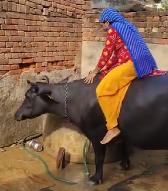 HeyJitendr's tweet photo. Yadav baddie morning routine part 2 https://t.co/AMVGTC7DlP