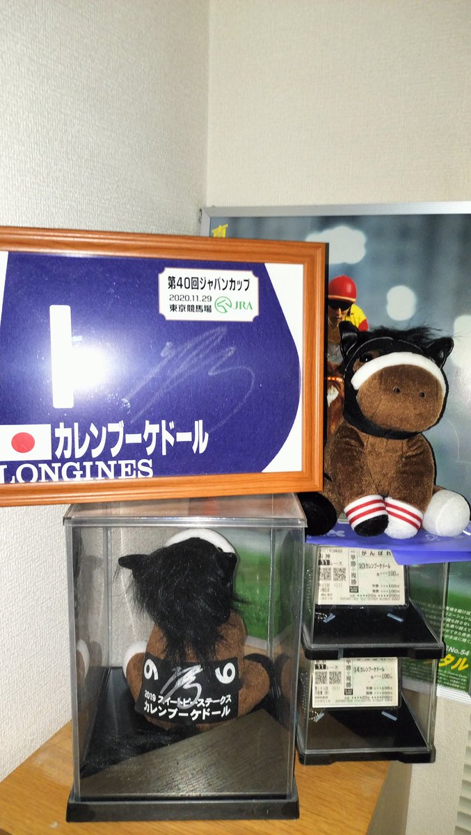 カレンブーケドールの馬券だってあるし、ゼッケンだってアイドルホース