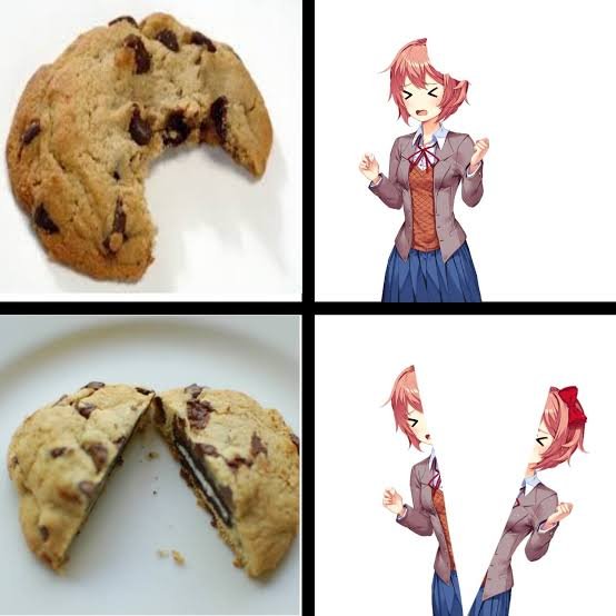 SayoriCanelita's tweet photo. Noooooooo🍪
#DDLC https://t.co/2W76NPte43