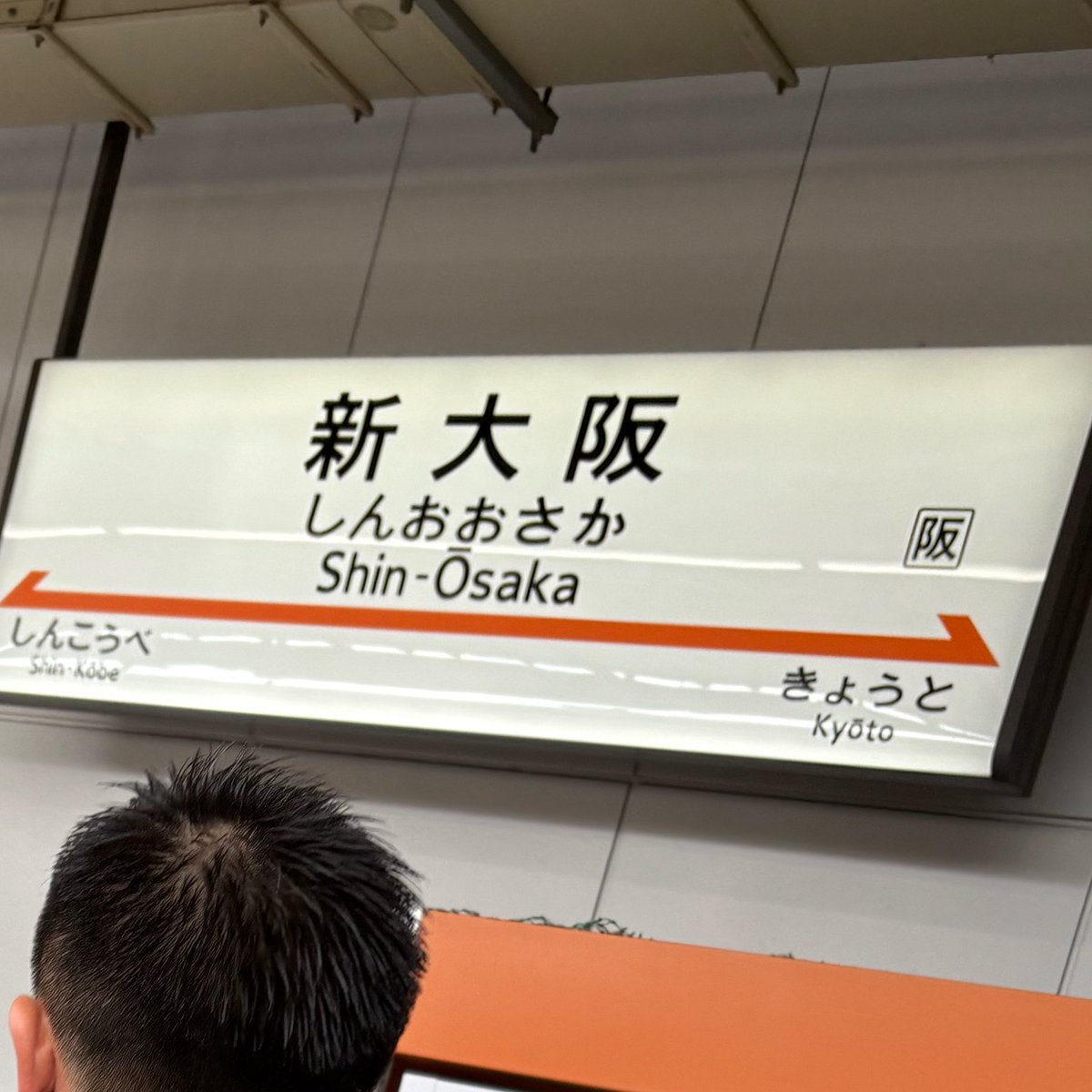 jurassicsoar's tweet photo. おはよ https://t.co/DI4qSfQCZq