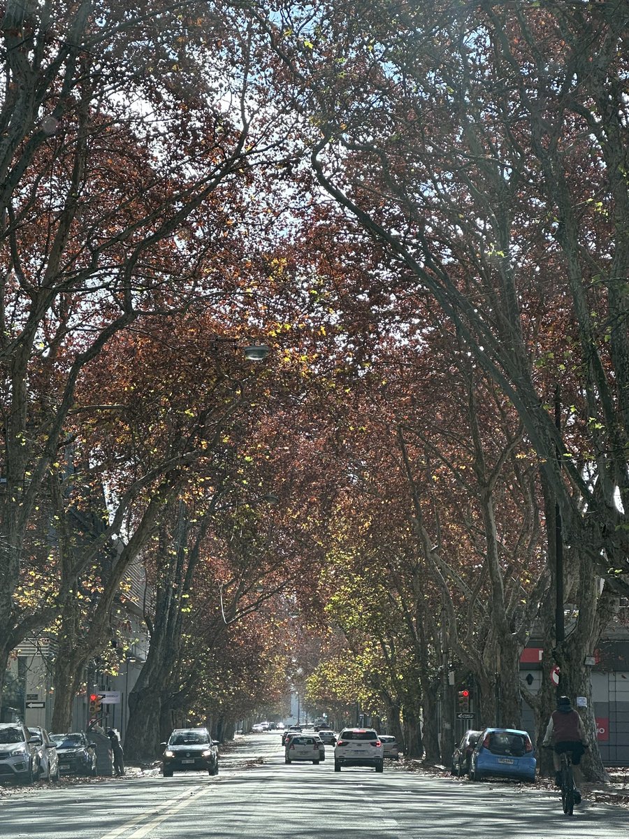 checha1998's tweet photo. Montevideo es esto. https://t.co/RauExxfpV6