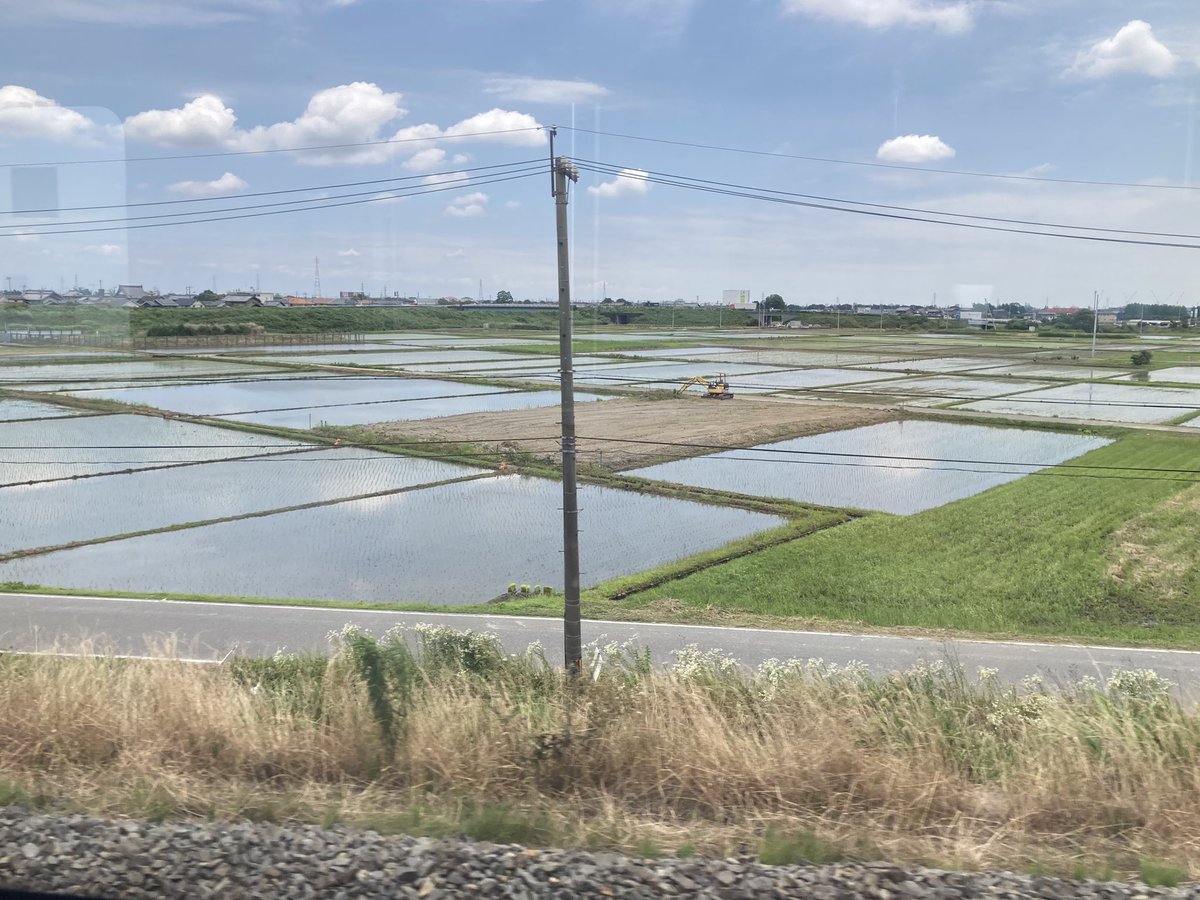 cat_sorairo's tweet photo. 車窓から眺める水田が美しい。

#イマソラ #空がある風景 #mysky https://t.co/U68pbq1tlg