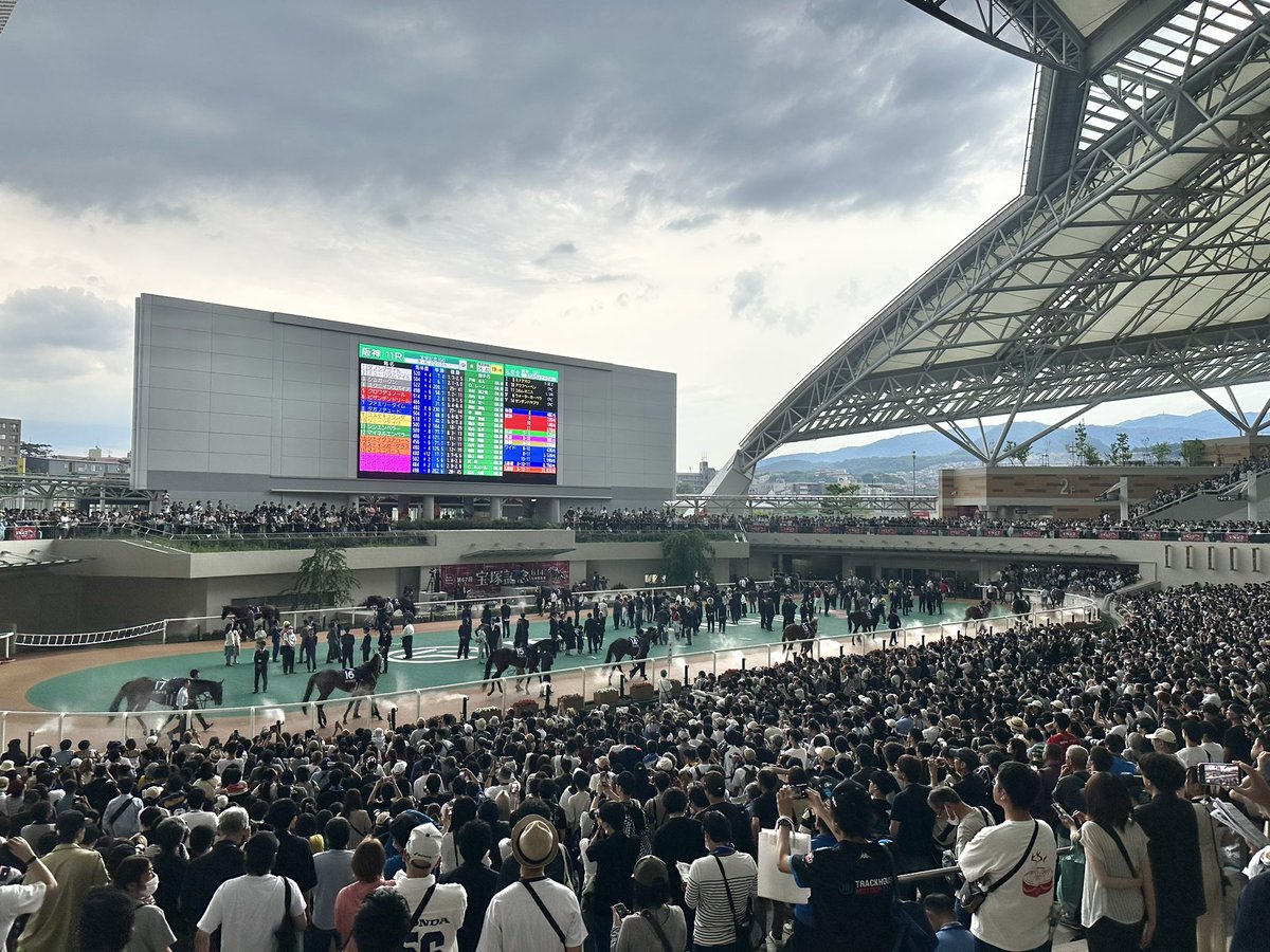 choli1982's tweet photo. 2026年6月14日（日）宝塚記念。レース直前のゲリラ豪雨でみんなびしょ濡れだったけど現地ならではの思い出に残る宝塚記念になりました☺️☔️🌀🌀
#メイショウタバル #コスモキュランダ #宝塚記念 #阪神競馬場 #武豊騎手 https://t.co/TEKIJPln8H