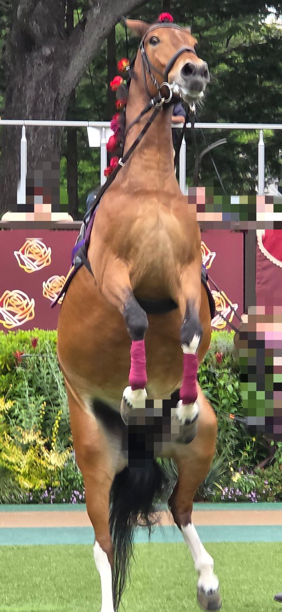 coscos_xia's tweet photo. 昨日１日で色々満足したのでしばらく動画編集の方に集中しま�� https://t.co/BOXpfsrxSI