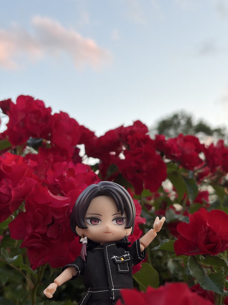 mochiusa_saniwa's tweet photo. 薔薇園での1枚
清光には赤い薔薇🌹

#ねんどり
#ねんどろいどどーる
#ねんどろ刀剣男士 https://t.co/vhvQSDsQsh