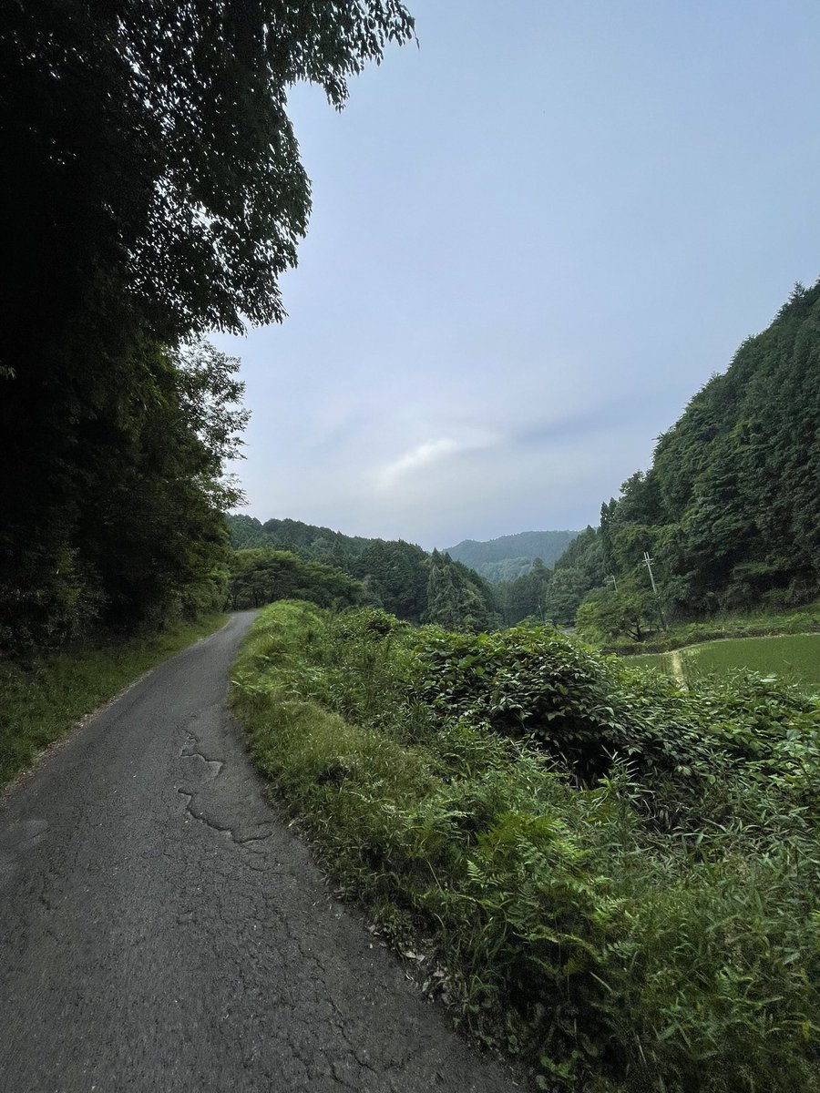 cyclezoo's tweet photo. 昨日は足が回って
久々に走るのめっちゃ楽しかったのだよ
ポジション大事。

これを繰り返したら強くなるし、
楽しかったからまた走りたい。 https://t.co/klajeWuYlO