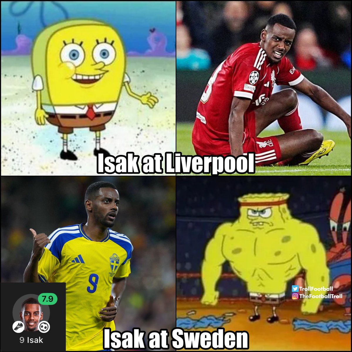 Troll Football tweet media