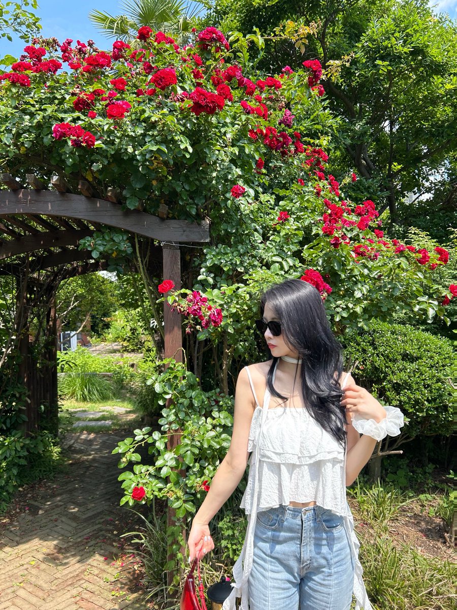 mslim58's tweet photo. 능소화대신 장미보러 🥀  
#부산 #몸매 #ootd https://t.co/mWVCILZJHF