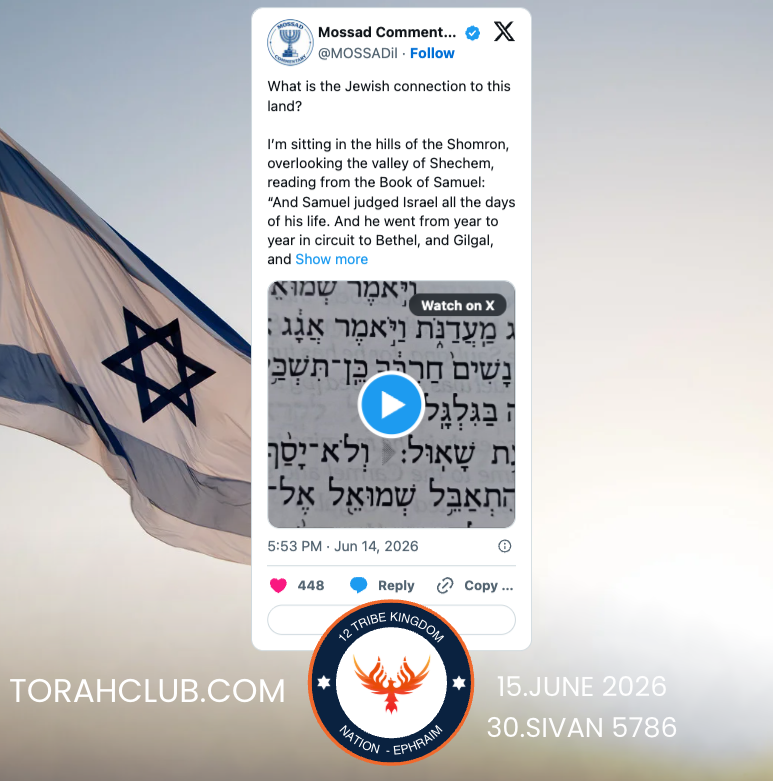 EphisMediaTruth's tweet photo. 🇮🇱"What is the (Jewish) connection to this land?
I’m sitting in the hills of the Shomron, overlooking the valley of Shechem, reading from the Book of Samuel:
https://t.co/oms6KbfRAy https://t.co/NELaQfMY2Y