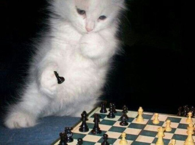 wafflesdotfun's tweet photo. We game today https://t.co/hnadnQnkjo