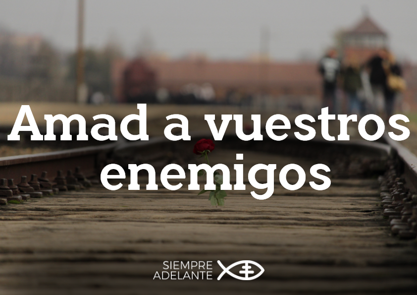 Archisevilla1's tweet photo. #EvangelioDelDía| Mt 5, 43-48. Amad a vuestros enemigos. 
https://t.co/FuVinop59o

#PalabraViva #SiempreAdelante https://t.co/OwqL8LwIu5