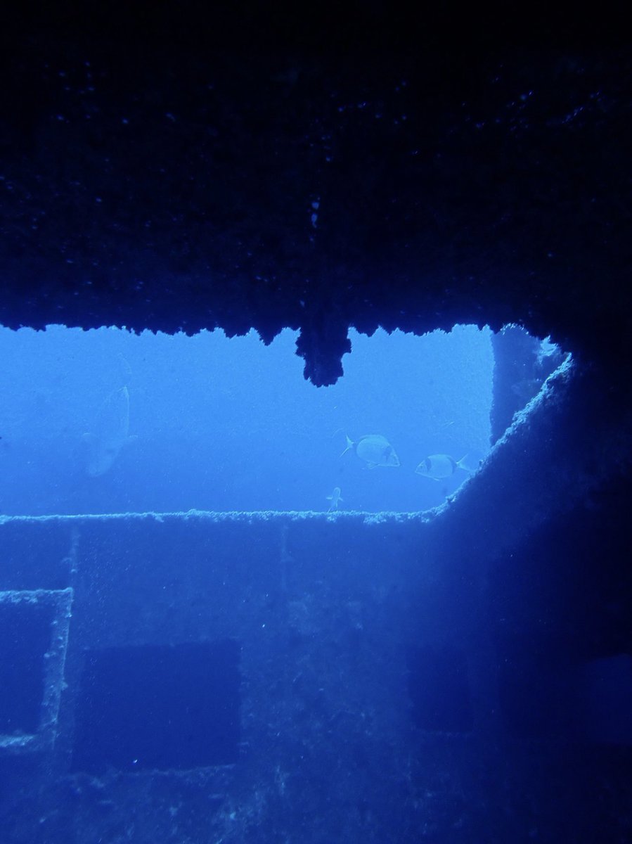 incuppedhands's tweet photo. 1st wreck dive :)⚓️🐟 https://t.co/kLPOvsOLSZ