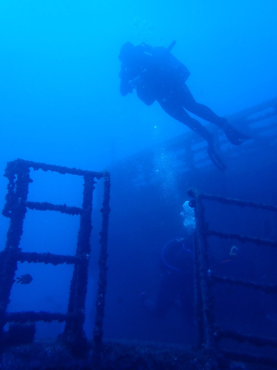 incuppedhands's tweet photo. 1st wreck dive :)⚓️🐟 https://t.co/kLPOvsOLSZ