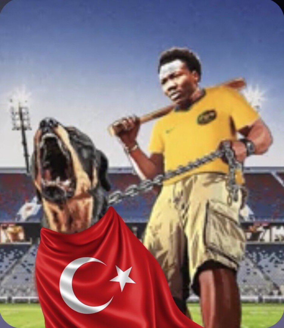 cunhayk 🇦🇺 tweet media