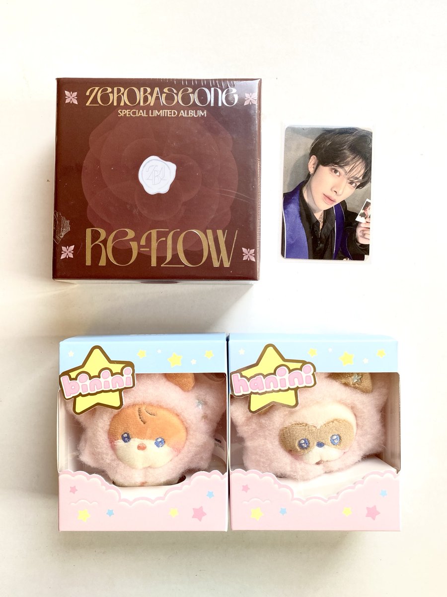 ArisaShen's tweet photo. . ݁₊ ⊹ . ݁˖ .  It's #ArisaShenmails . ݁₊ ⊹ . ݁˖ .

Thank you so much kak Ceya! Finally Hanini &amp; Binini ZERONI Stars!! So cute 🥰💐💖✨ @hamcigo

#RICKY #SUNGHANBIN #BININI #ZHANGHAO #HANINI #ZEROBASEONE #ZB1 https://t.co/s4WM2FpGPb