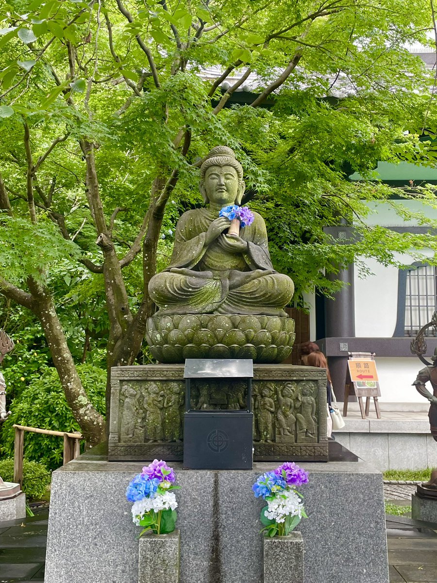 bwms_key's tweet photo. 紫陽花寺めぐり。

鎌倉大仏見て長谷寺から☺️ https://t.co/fMMfMywQ9E