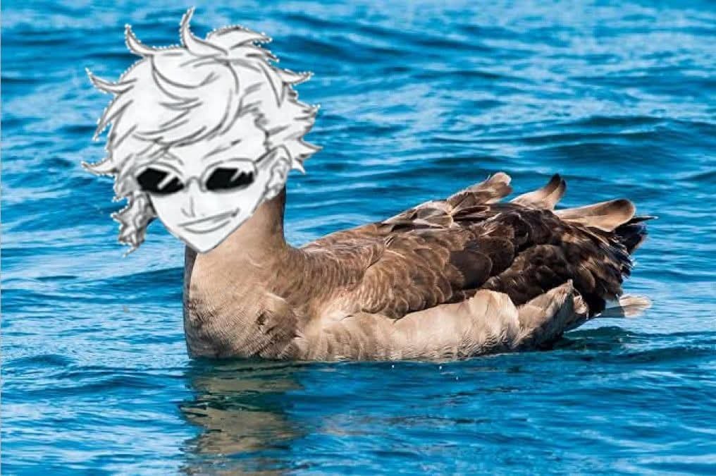 DeliC_lon's tweet photo. albatross's day!!! https://t.co/SoIgcsGBXG