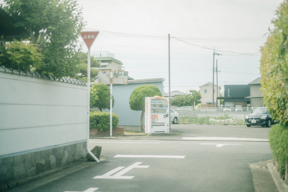 sei_photography's tweet photo. 眠い昼 https://t.co/LpLus7xNYR