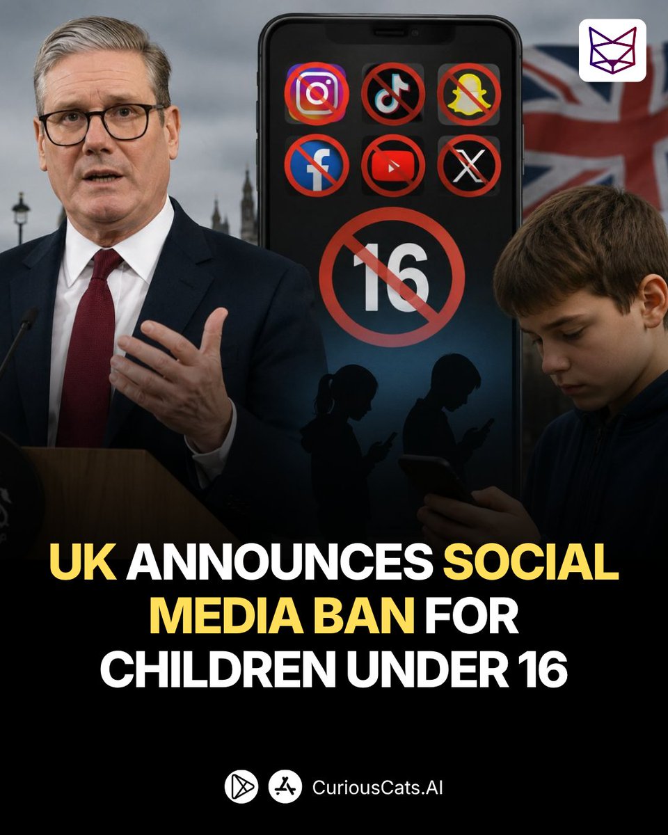 Connor Curious tweet media