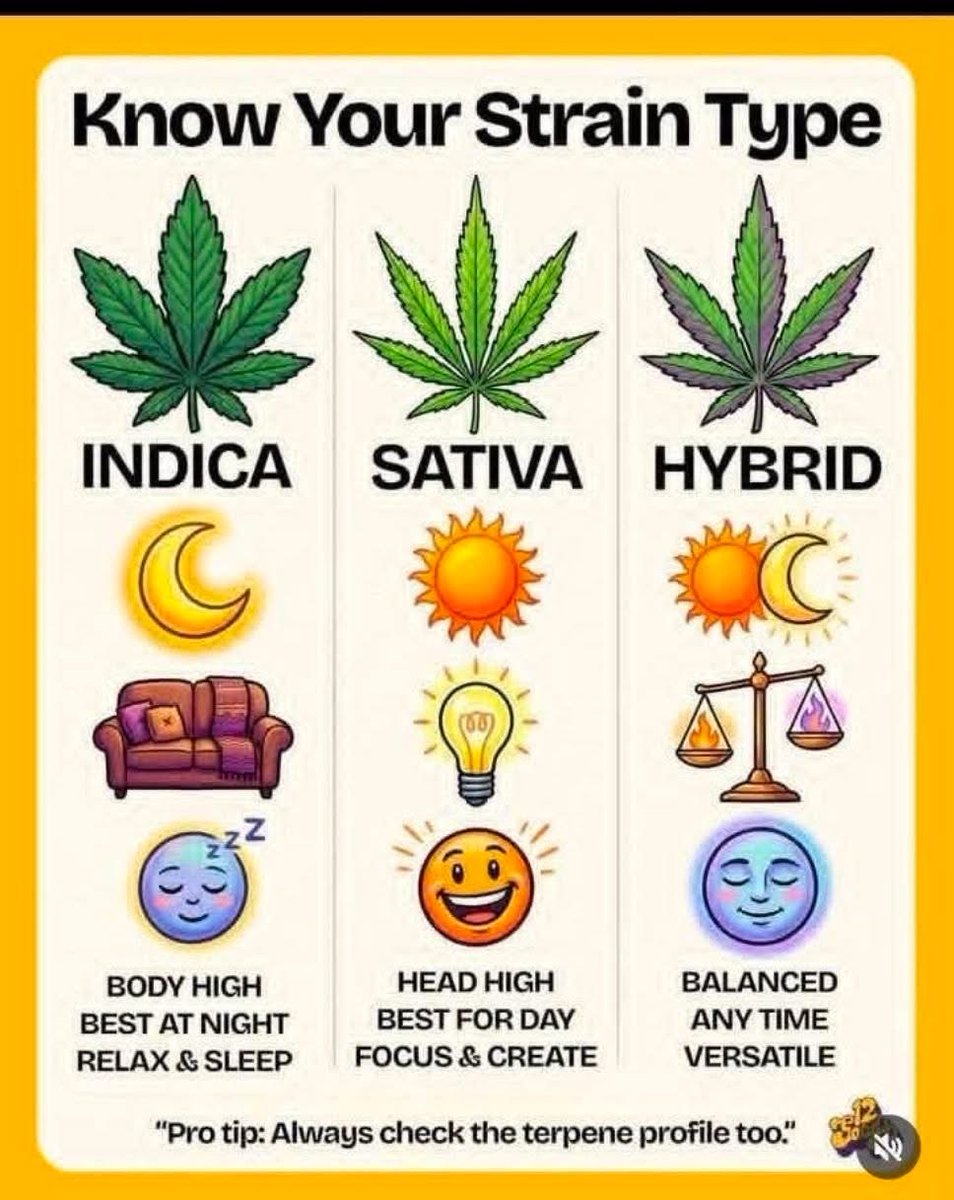 TRimamfyen's tweet photo. Know your strain type which do you prefer Indica,sativa or hybrid? https://t.co/nzkMReBoek