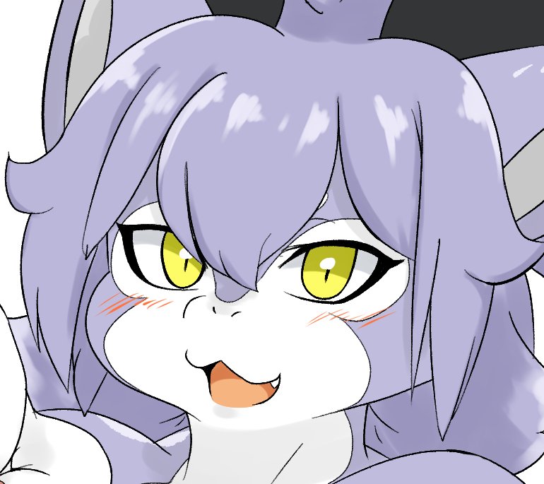 袖乃 tweet media