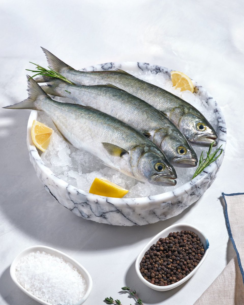 fishgate_'s tweet photo. Taptaze lüfer sofranızın yıldızı olmak için hazır 🐟

#OrangeCityBalat #FishGate #Balıkçısı https://t.co/YvItgZxtyw