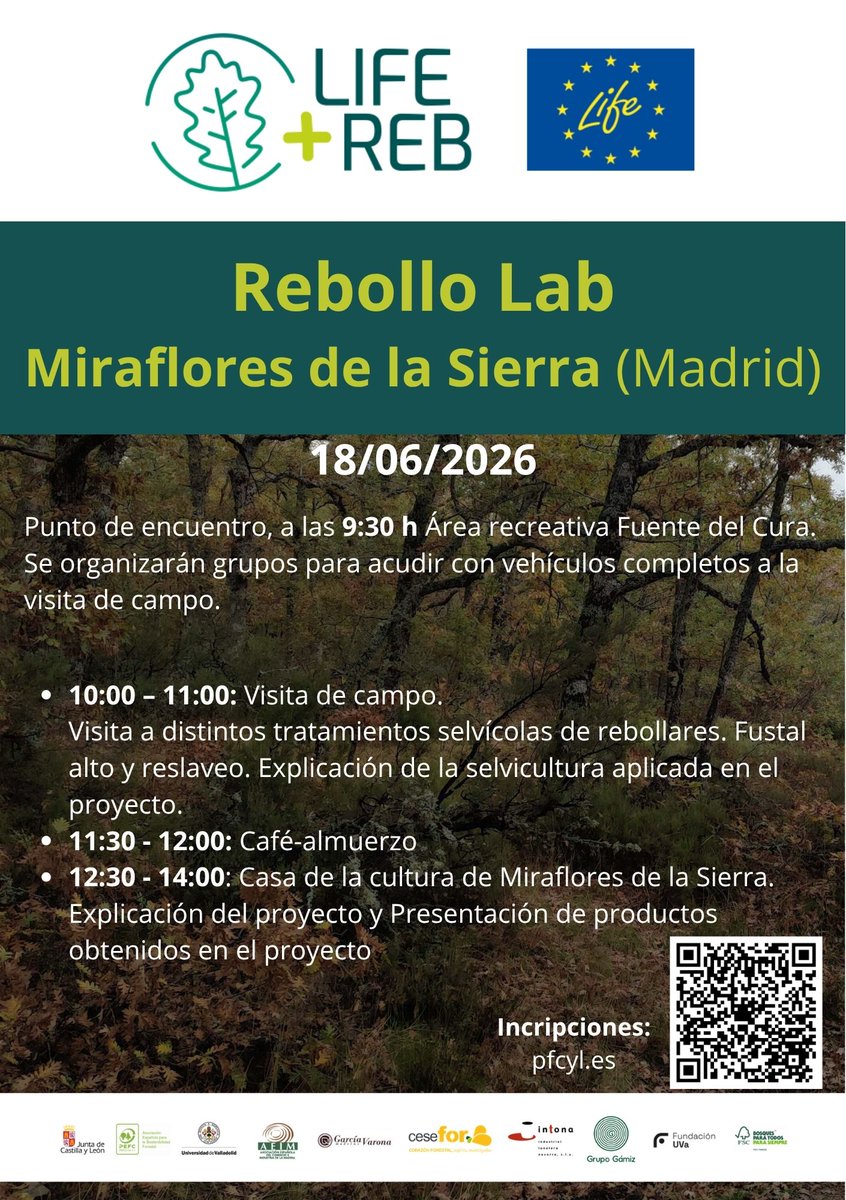LifeRebollo tweet picture