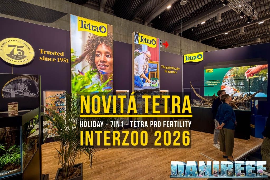 TheDaniReef's tweet photo. Tetra a Interzoo 2026: Fertility, Holiday e Test 7in1 https://t.co/E4V6uUWw2l via @thedanireef #tetra #interzoo #acquario https://t.co/5jZCUd7XNz