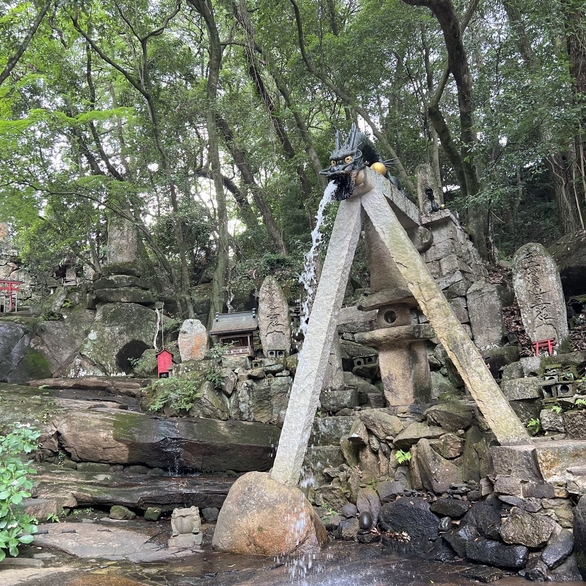 izunebin's tweet photo. 神社仏閣の階段はいずねにとって超ハード。手すりがありがたい😭
都市ボーイズさんの動画で見たお祭りが来月あるから興味あるけど…絶対怪我する🤣
#龍泉寺 https://t.co/akK00FuCEy