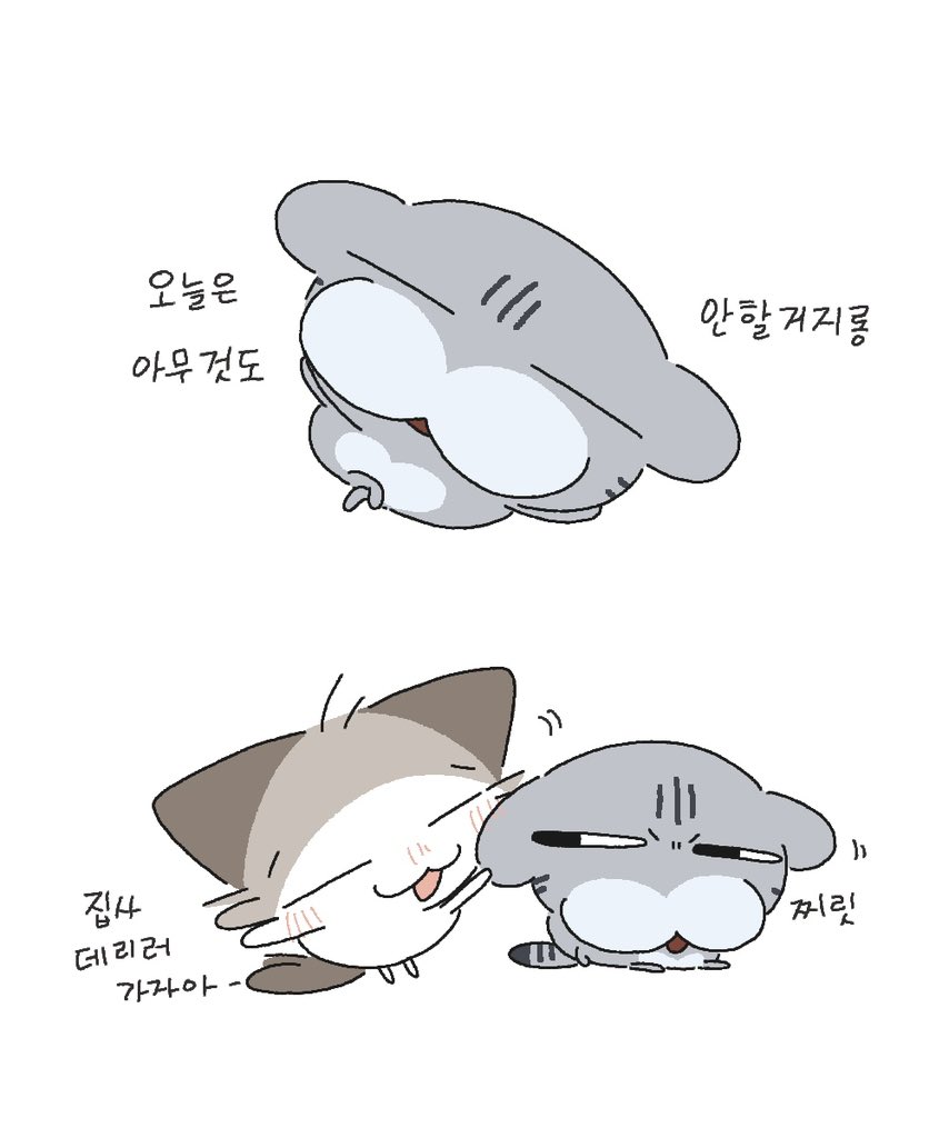 vere_dding's tweet photo. https://t.co/K3rqryE86d