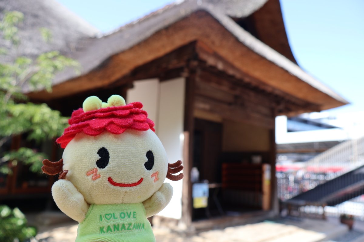 ぼたんちゃんのつぶやき】 金沢八景権現山公園に行ってきたよ！ 駅チカ