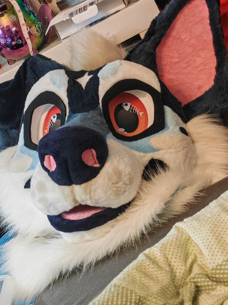 momosfuratelier's tweet photo. USD prices for my suits:

🦊 Flint: 3,4k USD
🐶 Haeron: 1,7k USD

Shipping worldwide and extra on top from Germany. I can't ship dull insured to the US.

#fursuitforsale #fursuit #fursuitmaker #fursuitmaking #fursuitmakingwip #fursuithead #fursuitbase #fursuitheadbase https://t.co/R3veRFRATv