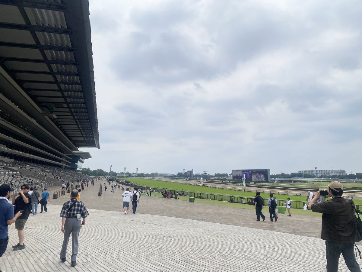 rhythmor_tokyo's tweet photo. #競馬
#府中
#東京競馬場
#JRA
#競走馬 https://t.co/cx0ylGY8HW