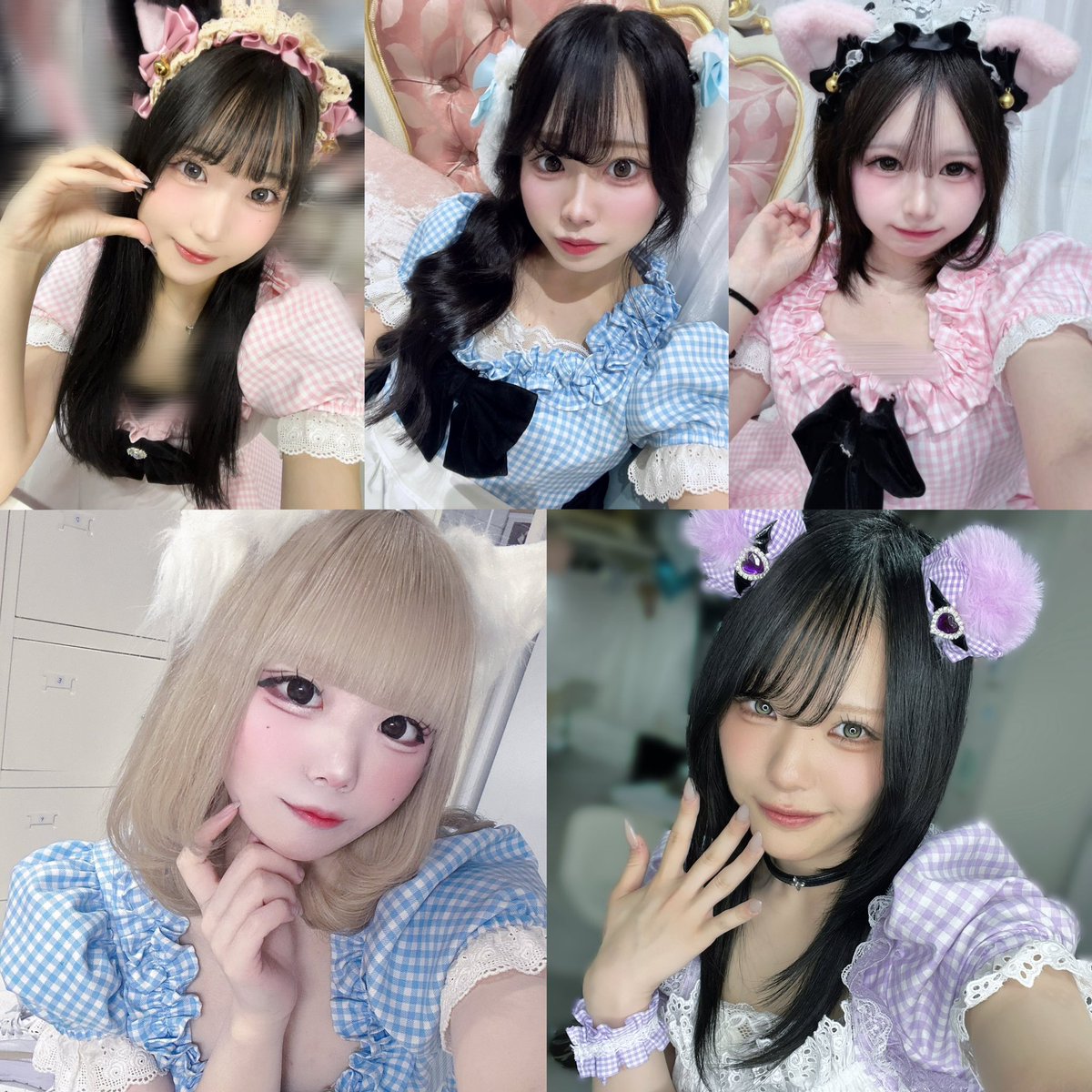animilu_1's tweet photo. 🩵本日のあにまる🩵

せな16-21  @sena_anml 
シキ16-23 @shiki_anml 
ごんぴちま18-23 @gonpi_anml 
るな18-23 @runa__anml 
りちゅ19-23 @richu_anml https://t.co/F5IdgGZR4W