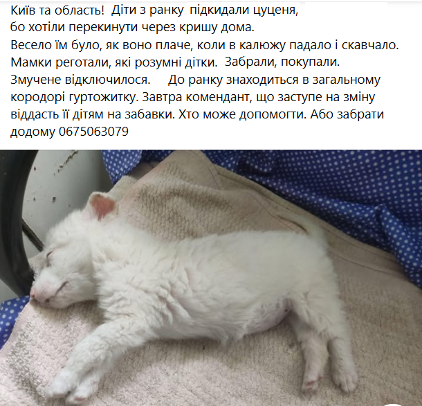 БыльБылева tweet media