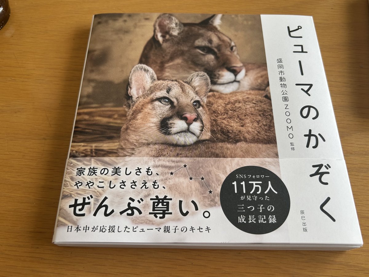 Tk9mA's tweet photo. 今日届きました♪
自分の写真も使ってくださっていた😭
これからじっくり読みます。
 #ピューマのかぞく https://t.co/cAWoEV5rHb
