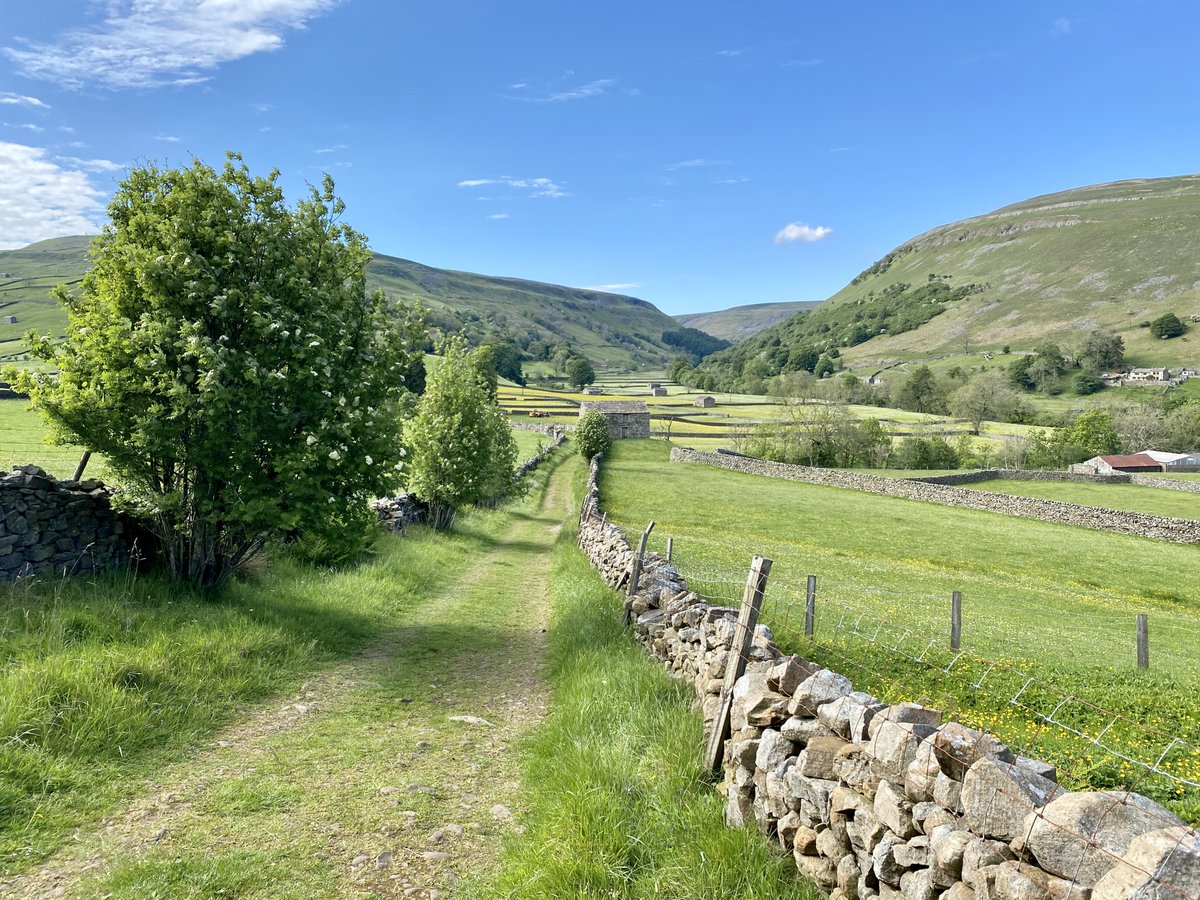 yorkshire_dales's tweet photo. For some Monday motivation, we're sharing this summery view of #Swaledale, just above #Muker. Have a great week! ๐
๐ธ Wendy McDonnell | #YorkshireDales #MondayMotivation #StepIntoNature https://t.co/ijWRm2E2UL