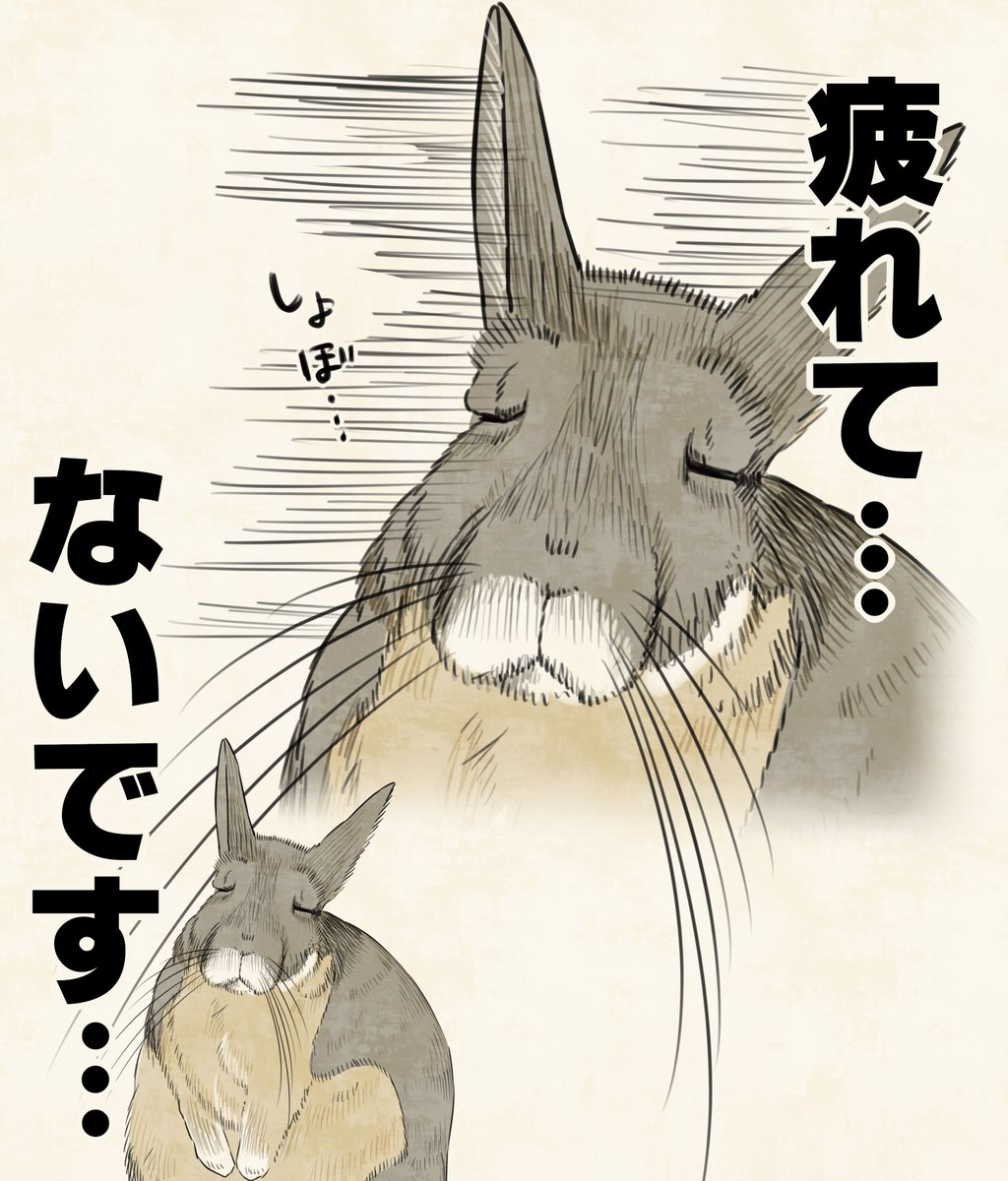 kuiruri's tweet photo. ビスカチャかわいい… https://t.co/3e1C1rpNGw