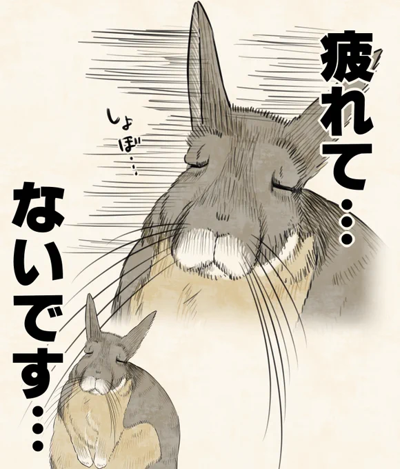 ビスカチャかわいい… 