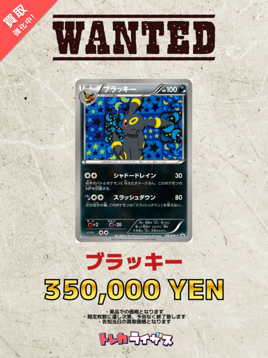 WANTED】 ✨🌙✨🌙✨🌙✨🌙✨🌙✨🌙✨ ブラッキー ￥350,000