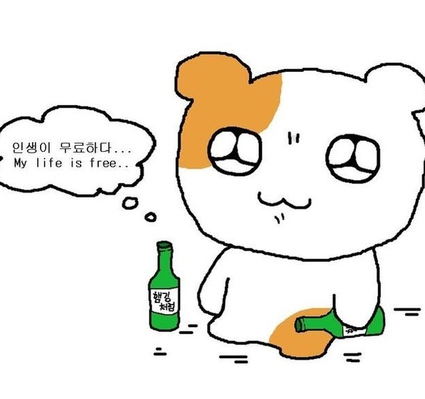 ALabubuS2's tweet photo. 헤헤 술마시구 취했어요
#광주 #맘눌뎀 https://t.co/vwqqtkSne8