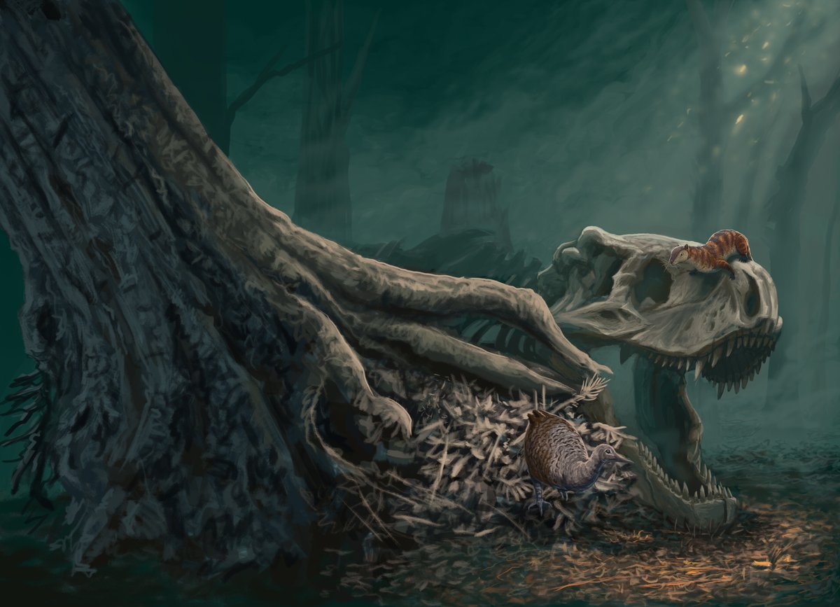 johnnykcage's tweet photo. Alfter K-T extinction

#PDContest #cretaceous  #dinosaurs https://t.co/v7ZrvKEMk4