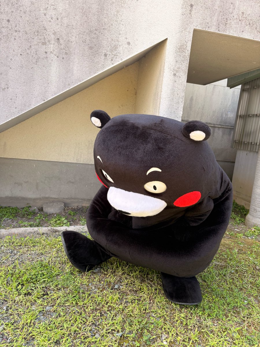 くまモン【公式】 (@55_kumamon) / Posts / X