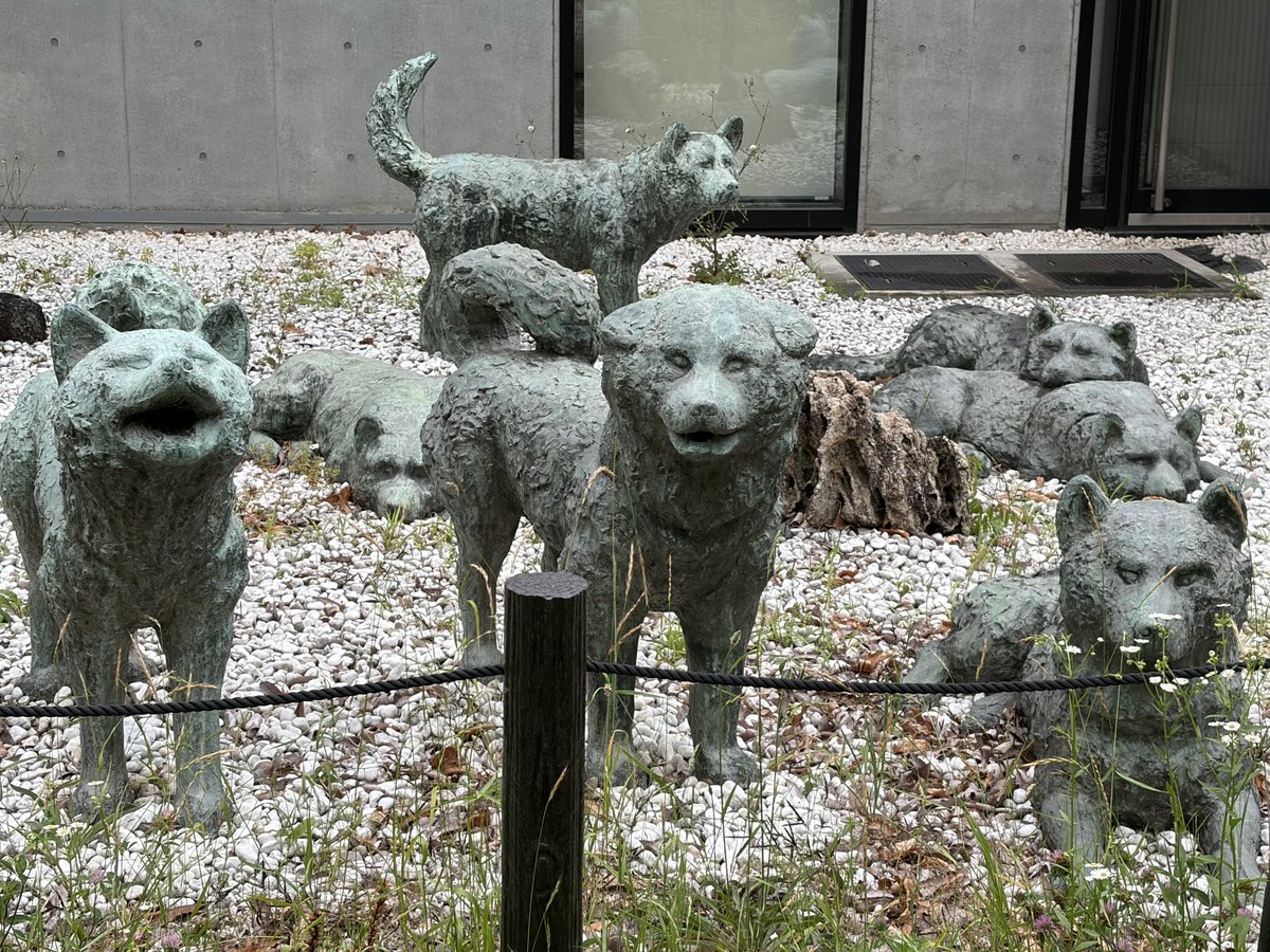 omichida's tweet photo. よりもいの聖地だ
残念ながら休館日だったけどまた来たいな🐕🇦🇶 https://t.co/YFnGeupej3