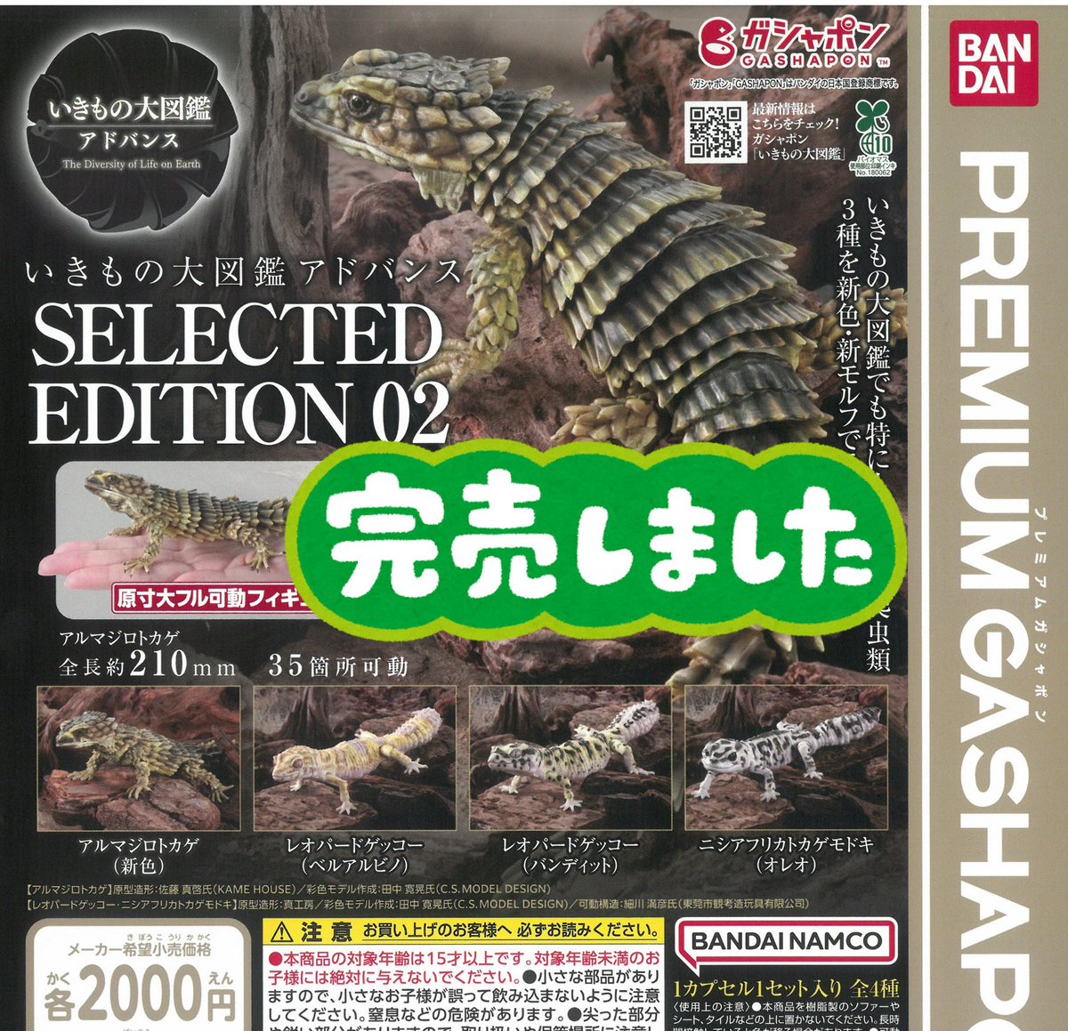 6月15日（月）完売商品のお知らせ】 📢いきもの大図鑑アドバンス