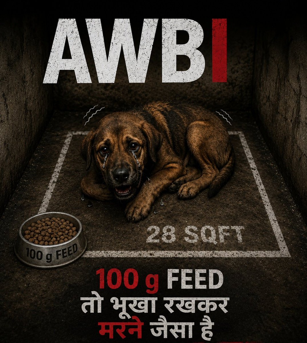 yadavnarender85's tweet photo. Animal welfare cannot be achieved through confinement, displacement, or fear-based control.

The AWBI SOP, if implemented in its current form, risks replacing science-based policy with measures that can lead to widespread suffering of community animals.

India already has a proven framework: ABC Rules, sterilization, vaccination, and responsible civic systems. That is the only humane, lawful, and sustainable path forward.

We reject any approach that undermines these principles.

We urge immediate intervention and correction from:
@AwbiBallabhgarh @moefcc @PMOIndia @narendramodi @Dept_of_AHD @MoHUA_India

Compassion is not optional. Science is not negotiable. Cruelty cannot be normalized as policy.

#RejectAWBISOP #UpholdABCRules #Roar4Rights #SaveIndianDogs #AnimalWelfare #CompassionForAnimals