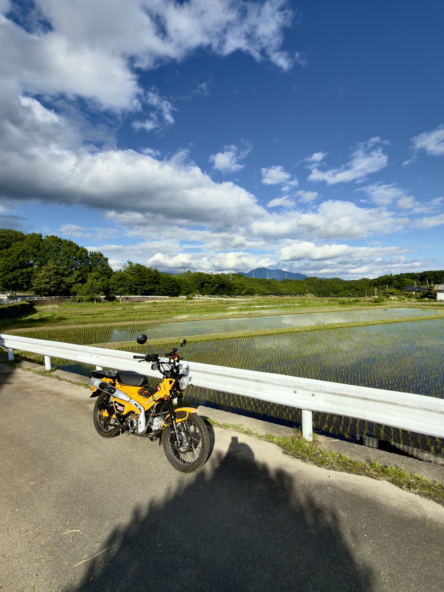 Neck_Game's tweet photo. #水田とバイクがある風景写真 
コンビニがてら少しカブ散歩。 https://t.co/TTx0JP0a4t