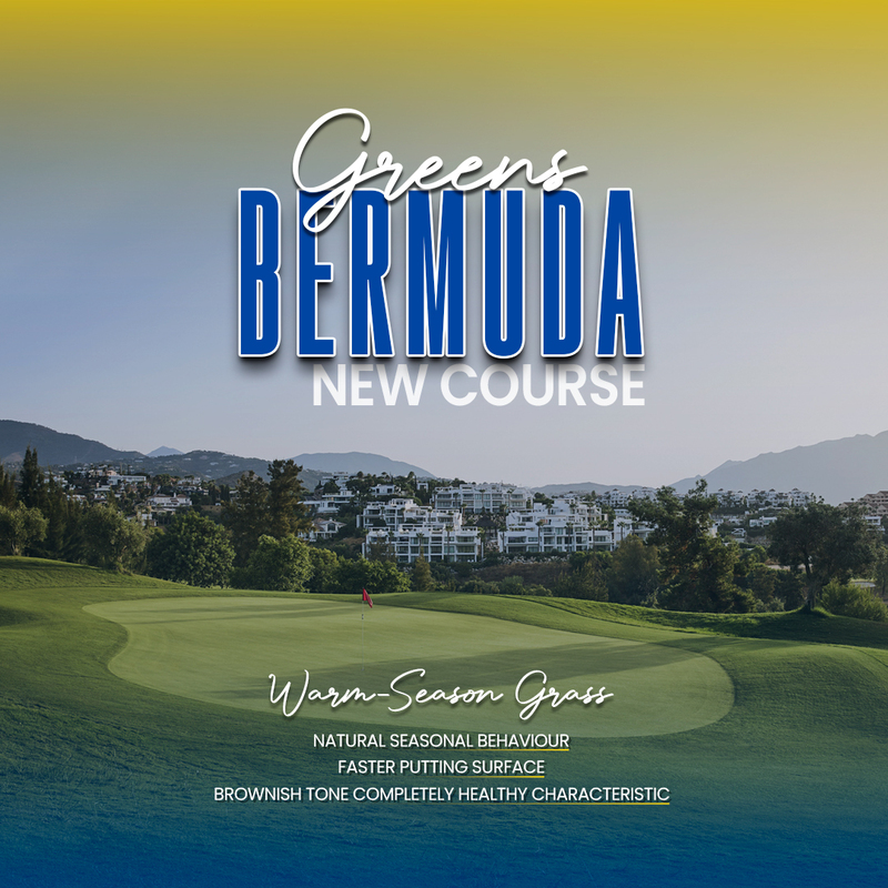 AtalayaGolf's tweet photo. 🇬🇧Different grass. Different challenge. ⚡️⛳ Atalaya New Course features Bermuda greens, designed for warm climates and sustainable golf. 

Firmer, faster and more consistent, they reward precision, smart decisions and confident putting.

#AtalayaGolf #NewCourse #BermudaGreens https://t.co/qk5rAFEVJ9