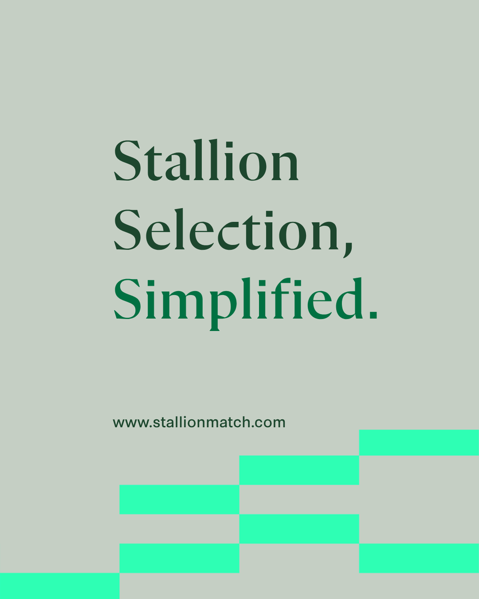 stallionmatch's tweet photo. 🏆 Skyhook has now won 4 Stakes races.

To celebrate, we’re offering 50% OFF our PRO Broodmare Report for 4 days only.

Analyse and rank up to 100 stallions with any broodmare using Stallion Match.

Use promo code: SKYHOOK4

#Skyhook #ThoroughbredBreeding https://t.co/xFHnMuGQgk